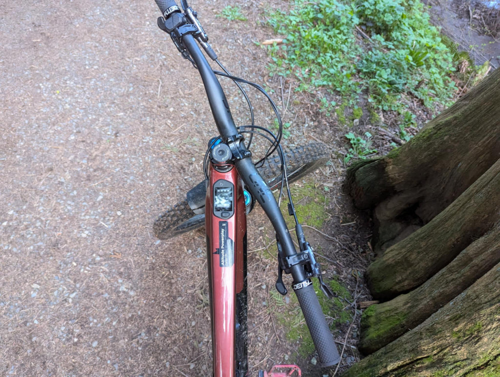 The Switchback